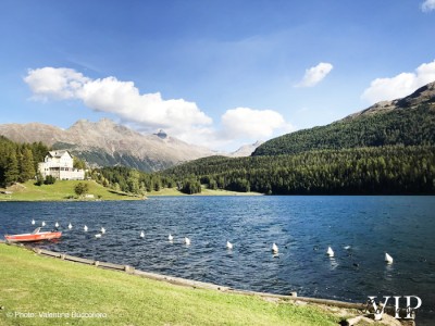 milano-lago-saint-moritz-auto-con-conducente-01