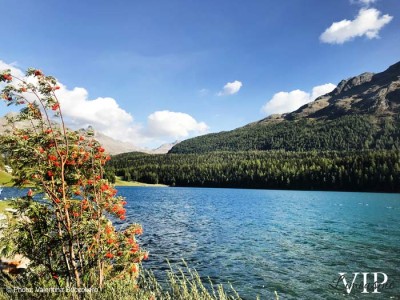 milano-lago-saint-moritz-auto-con-conducente-02