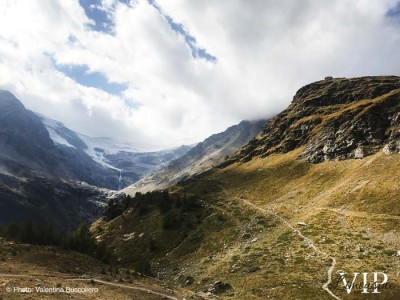 milano-saint-moritz-auto-con-conducente-treno-bernina-02