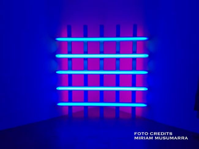 autonoleggio-con-conducente-milano-villa-panza-03-