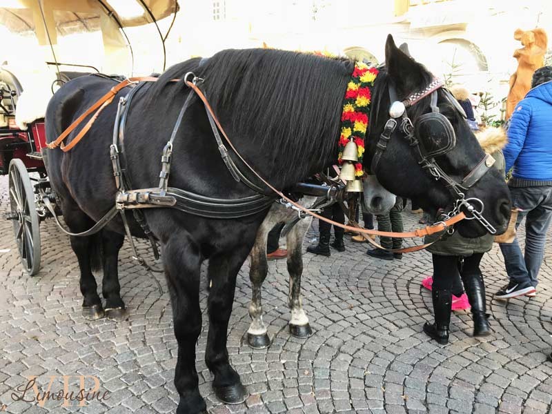 tour-mercatini-natale-bolzano-con-autista-01