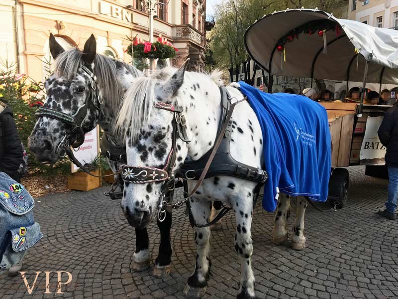 tour-mercatini-natale-bolzano-con-autista-02