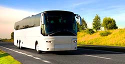 Pullman e Bus di lusso