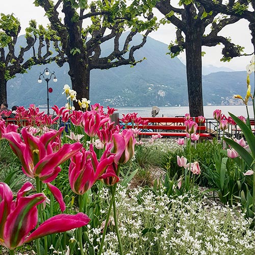 8 cose da fare e da vedere sul Lago di Garda: I Parchi del Lago di Garda