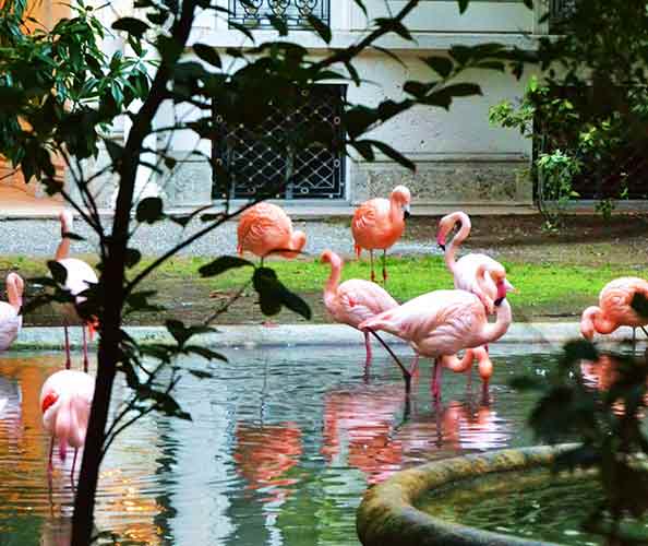 Villa Invernizzi Alla scoperta dei luoghi più segreti ed insoliti di Milano: Villa Invernizzi