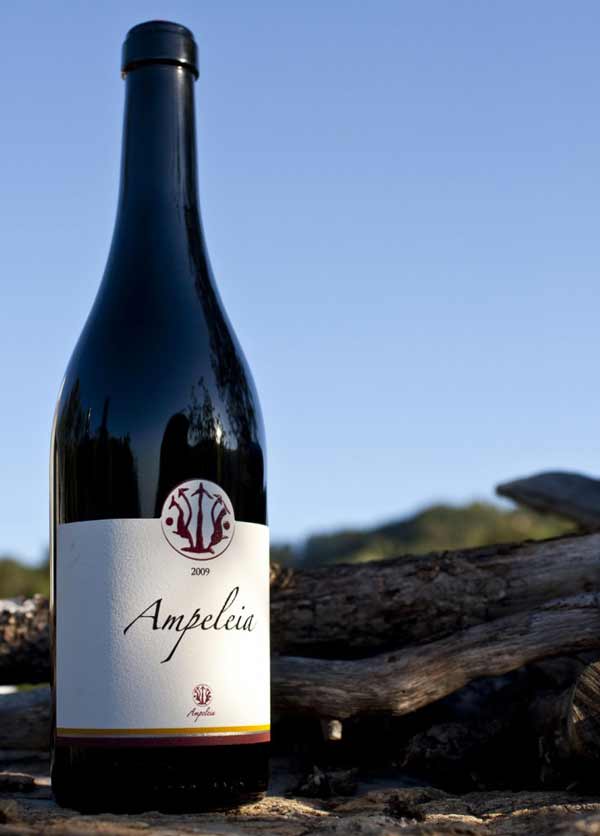 Azienda agricola Ampeleia Roccatederighi vino