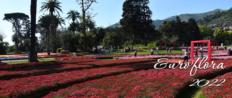 Euroflora Genova 2022: Partecipa con Vip Limousine NCC Milano