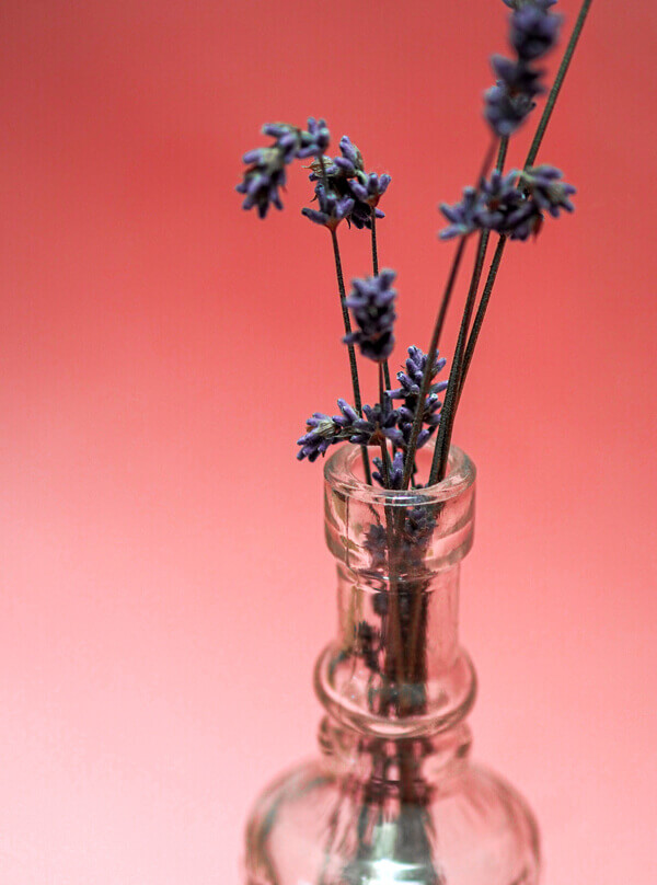 Gita a Grasse - Vaso con fiori