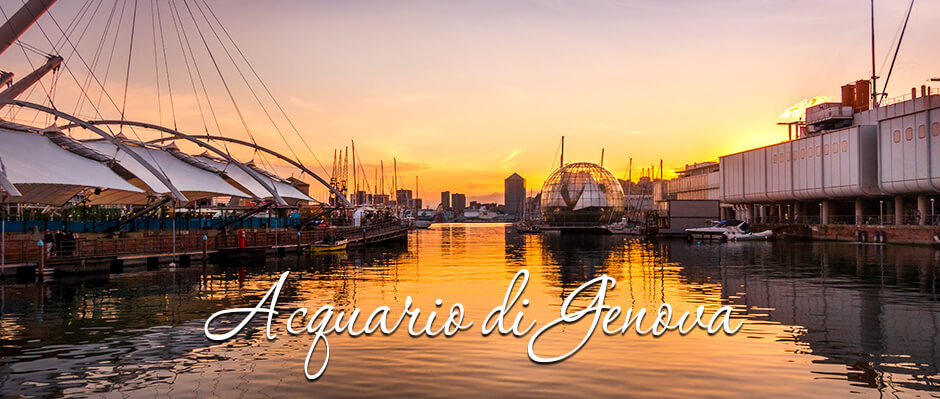 Noleggio Auto con Conducente Milano: l’Acquario di Genova