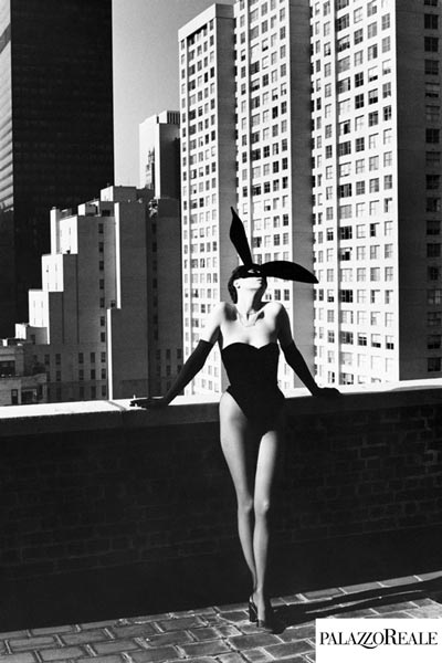 Noleggio con conducente Milano: fotografia di Helmut Newton a Palazzo Reale Noleggio con conducente Milano: Palazzo Reale foto di Helmut Newton