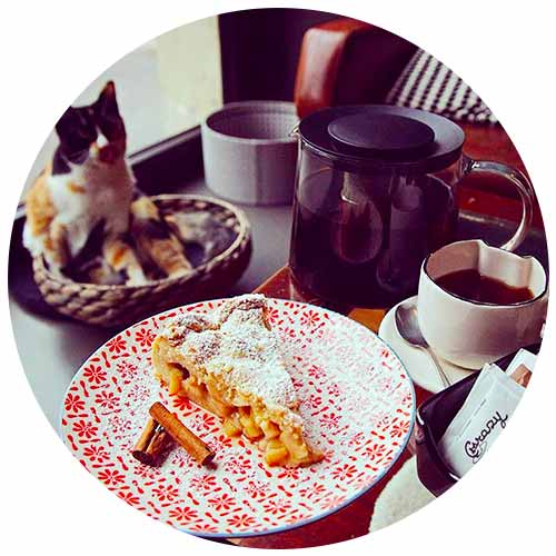 Crazy Cat Caf&egrave;
