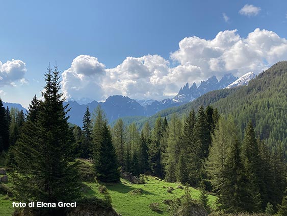 Visitate la Svizzera innevata: Grächen in auto di lusso con autista!