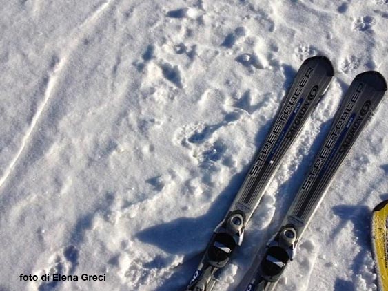 Visitate la Svizzera innevata: Leukerbad in auto di lusso con autista!